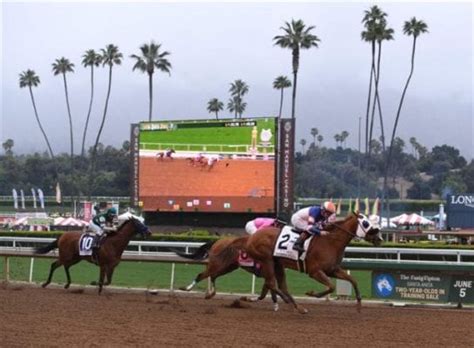 Santa Anita Racecourse, Results & Racecards .
